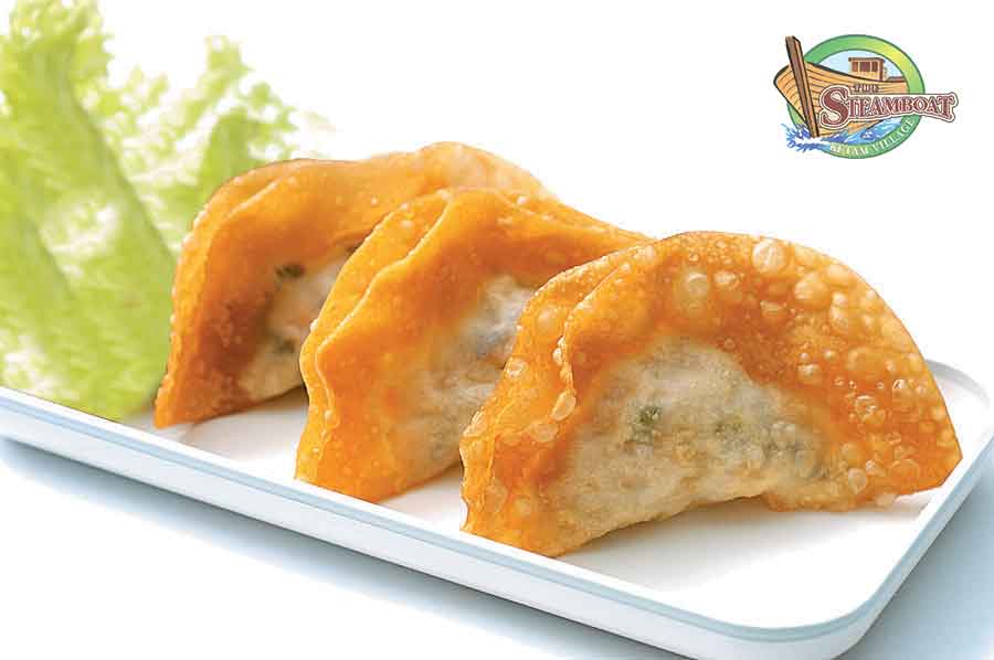 Fried Dumpling