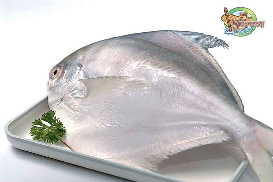 Pomfret