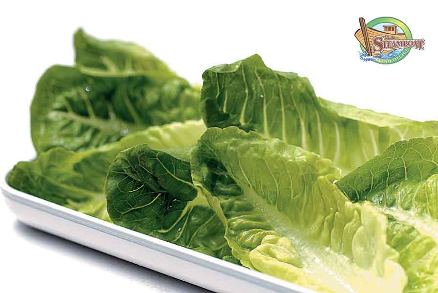 Romain Lettuce